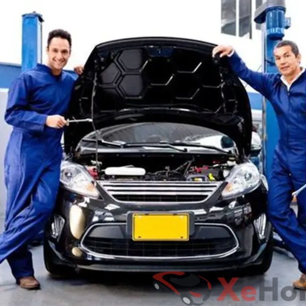 Thủ tục pháp lý và quy định biển số định danh mới nhất