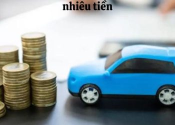 Thời hạn quy định để làm thủ tục sang tên xe ô tô theo luật hiện hành