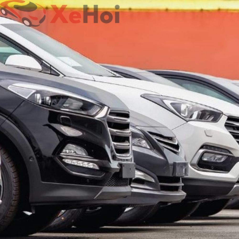 Hiểu đúng về giá thị trường và khái niệm xe cọp trong giới mua bán