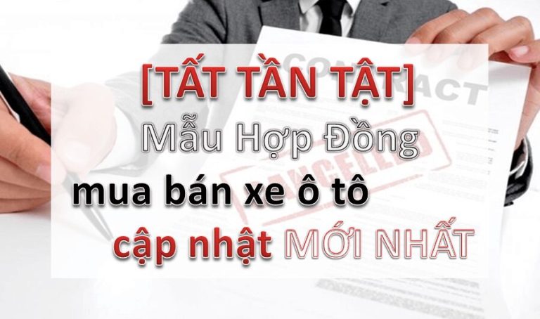mau hop dong mua ban xe o to